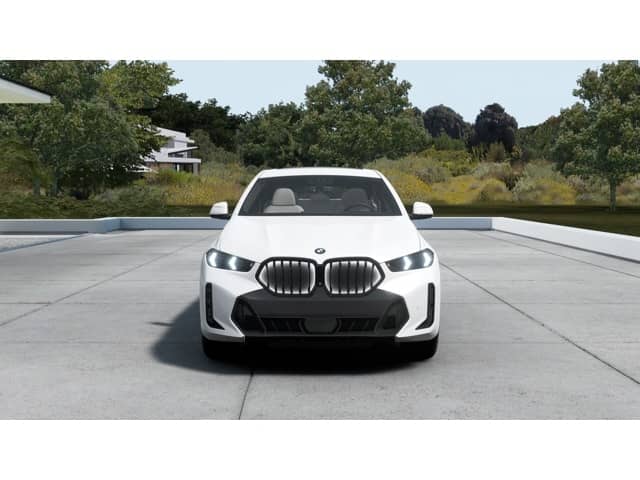 2027 BMW X6 - Image 3