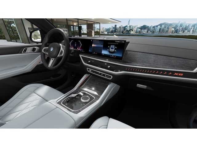 2027 BMW X6 - Image 14