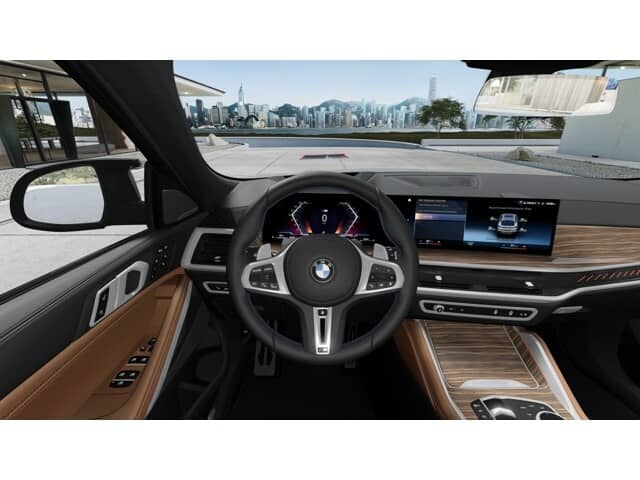 2027 BMW X6 - Image 13