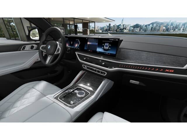 2027 BMW X6 - Image 14