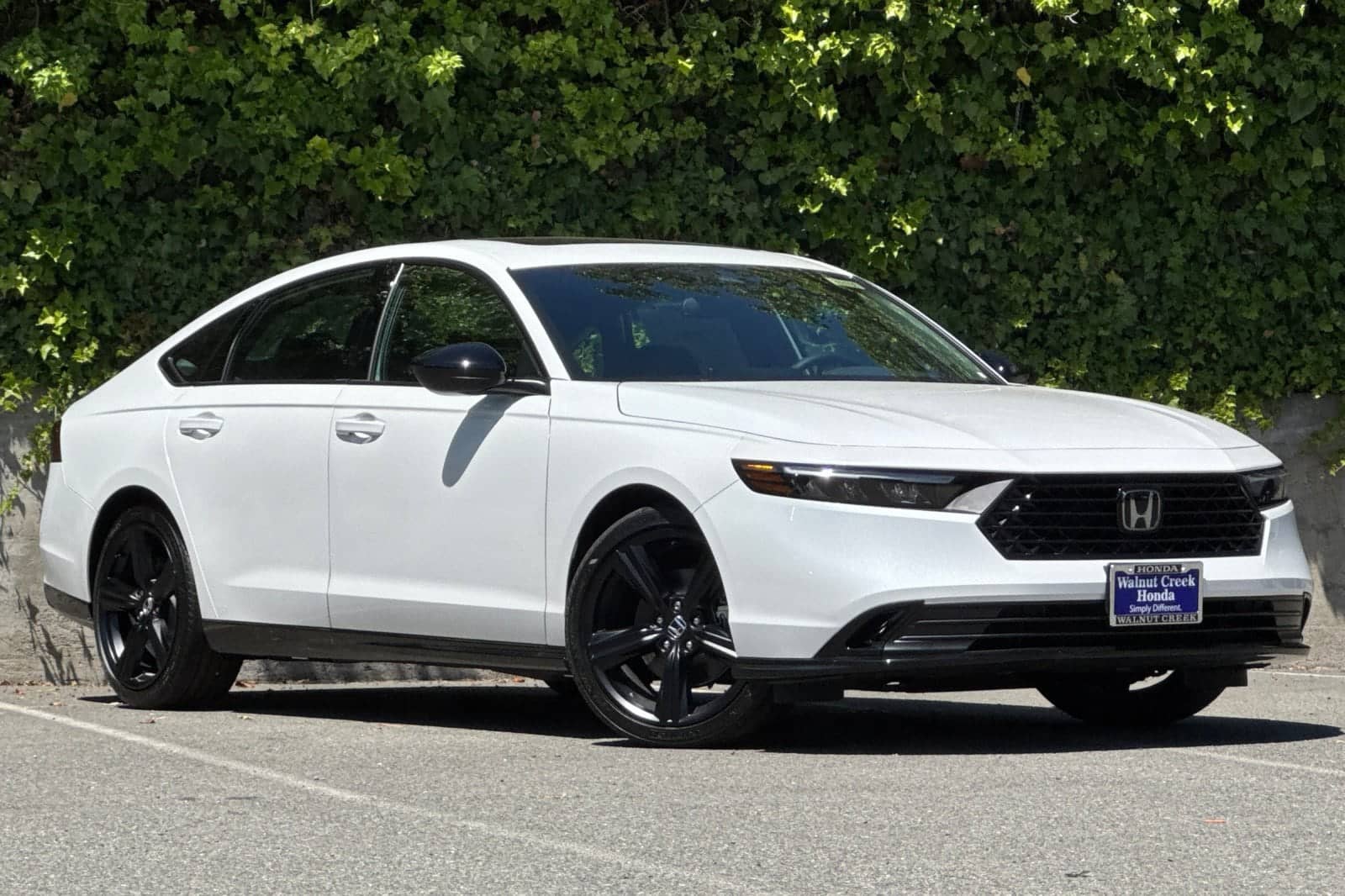2026 Honda Accord - Image 2