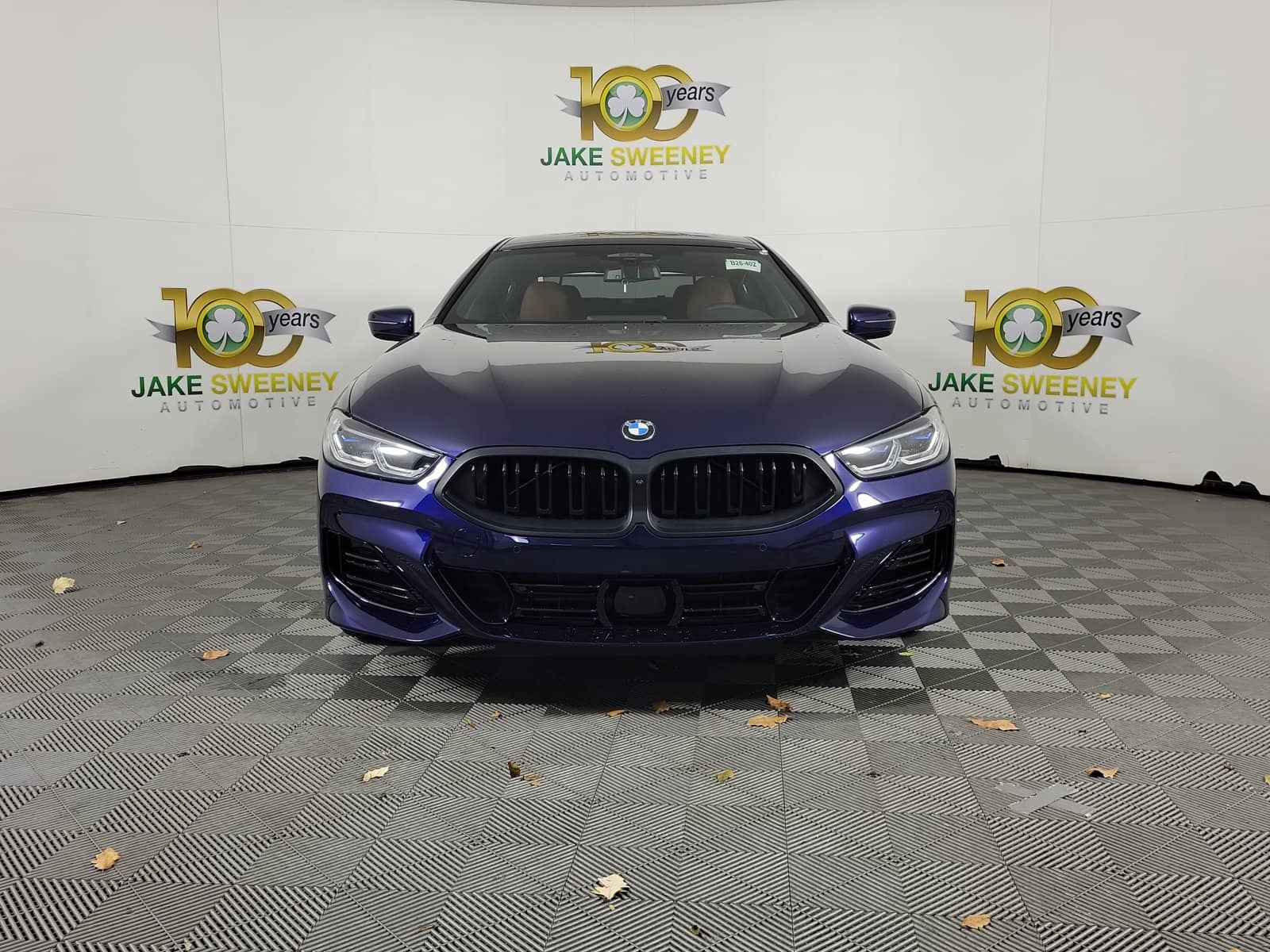 2026 BMW 8 Series - Image 2